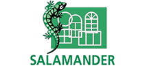 Salamander